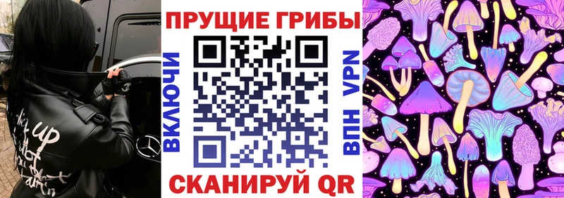 Галлюциногенные грибы мухоморы  купить   Куса 